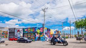 Wynwood and Midtown